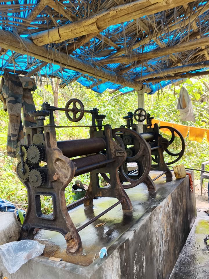 9-Acre Coconut and Rubber Plantation in Palakkad