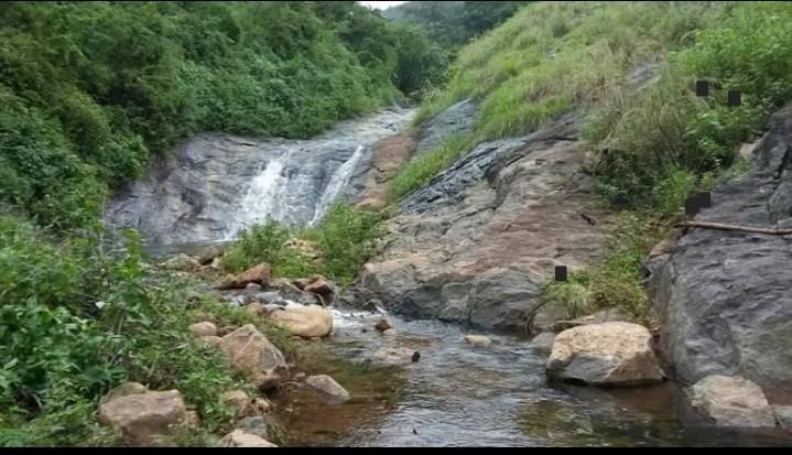 143-Acre Coffee and Pepper Farm in Kodaikanal