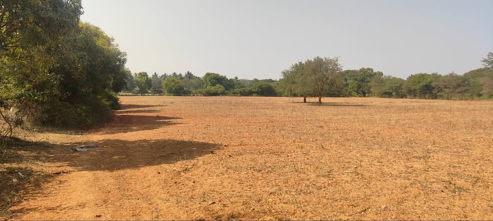 6-Acre Agricultural Land Near Nanjangud