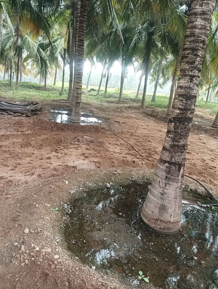 80-Cent Farm in Poolavadi Area
