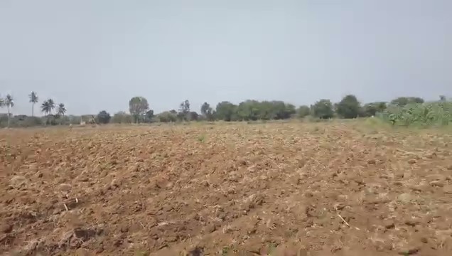 10-Acre Agricultural Land near Gouribidanuru