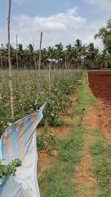 2-Acre Agricultural Land in Singanallur