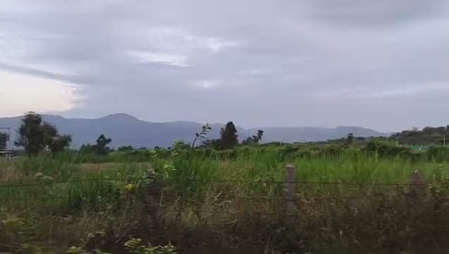 1.1-Acre Coconut Farm in Halagur