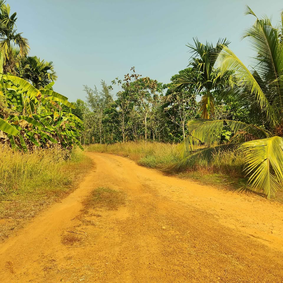 12.5-Acre Arecanut Farm near Puttur