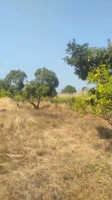 10-Acre Developed Farm Land Near Malaprabha River