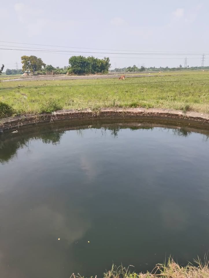 1-Acre Punchai Land on Tar Road