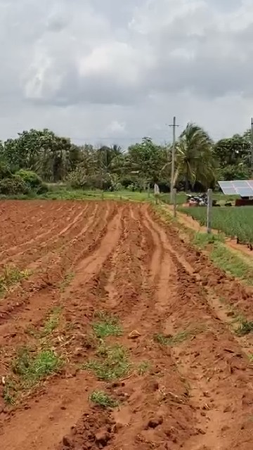 2-Acre Agricultural Land in Singanallur
