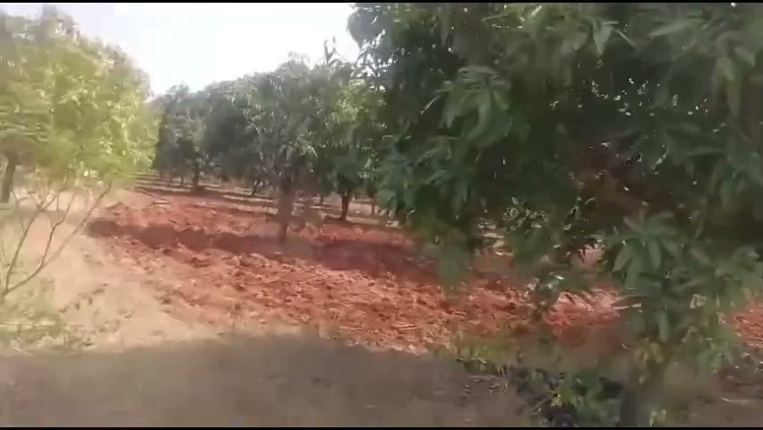 34-Acre Agricultural Land in Challakere