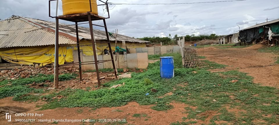 75-Acre Developed Farmland Near Hiriyur