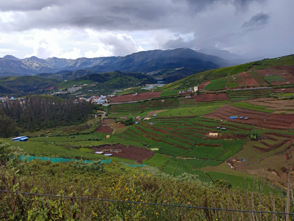 10.5-Acre Tea and Vegetable Farm in Ooty
