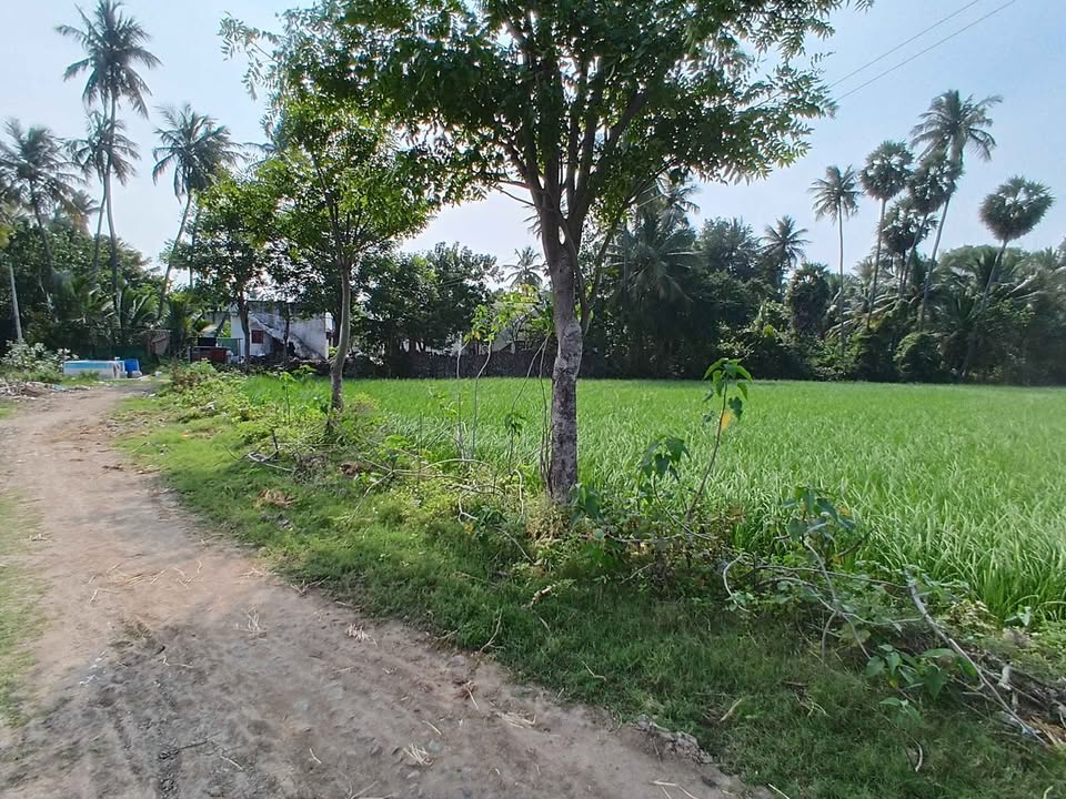 2.9-Acre Agricultural Land in Tiruchirappalli