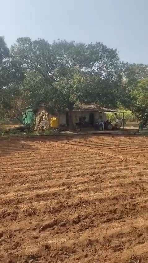 10-Acre Developed Farm Land Near Malaprabha River