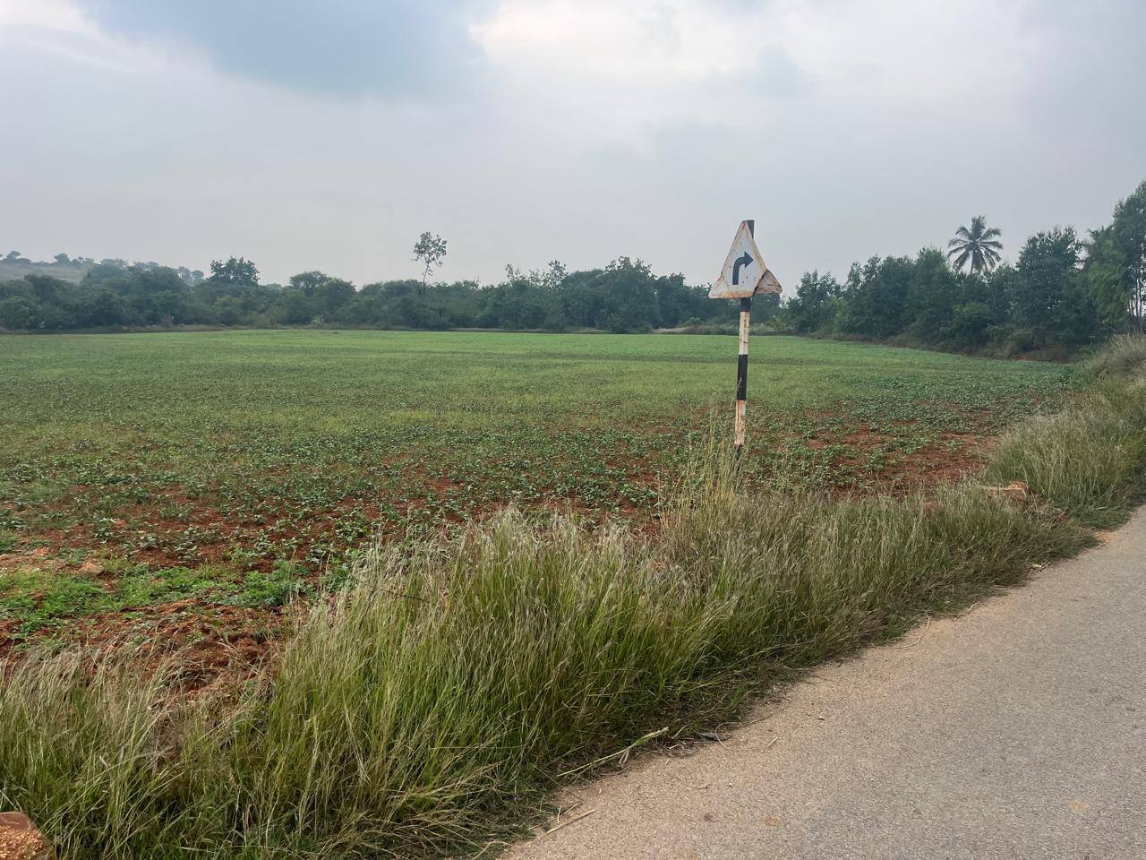 15.5-Acre General Property in Kondakarmarla