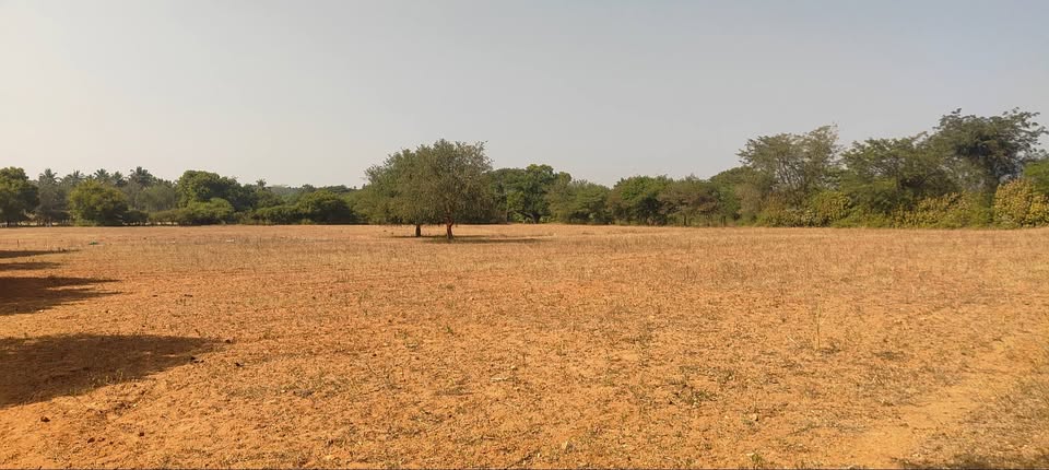 6-Acre Agricultural Land Near Nanjangud