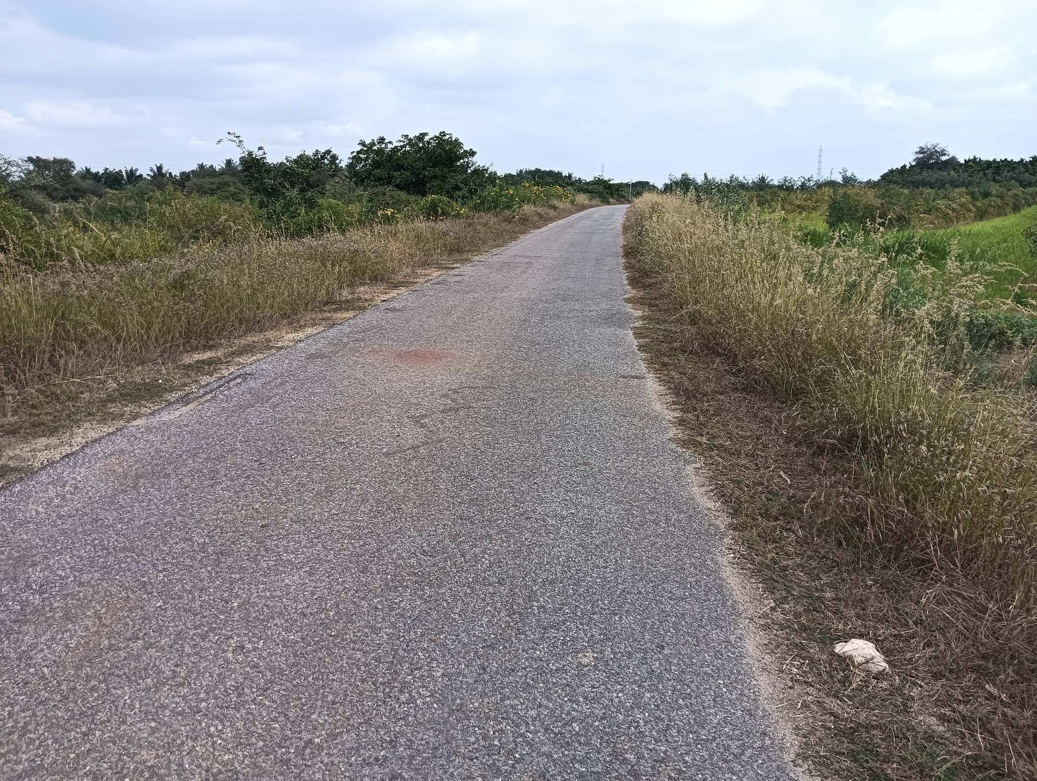 4-Acre Agricultural Land in Sira